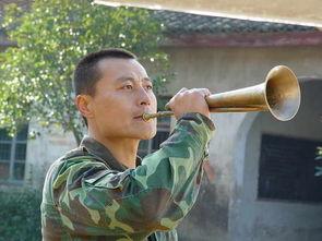 任程伟军刀在线观看,在线观看，揭秘传奇军旅生涯  第3张
